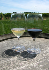 vino